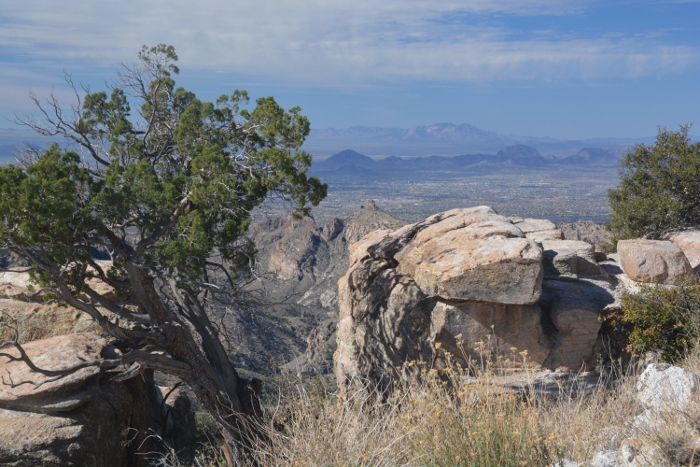 landscape along the route